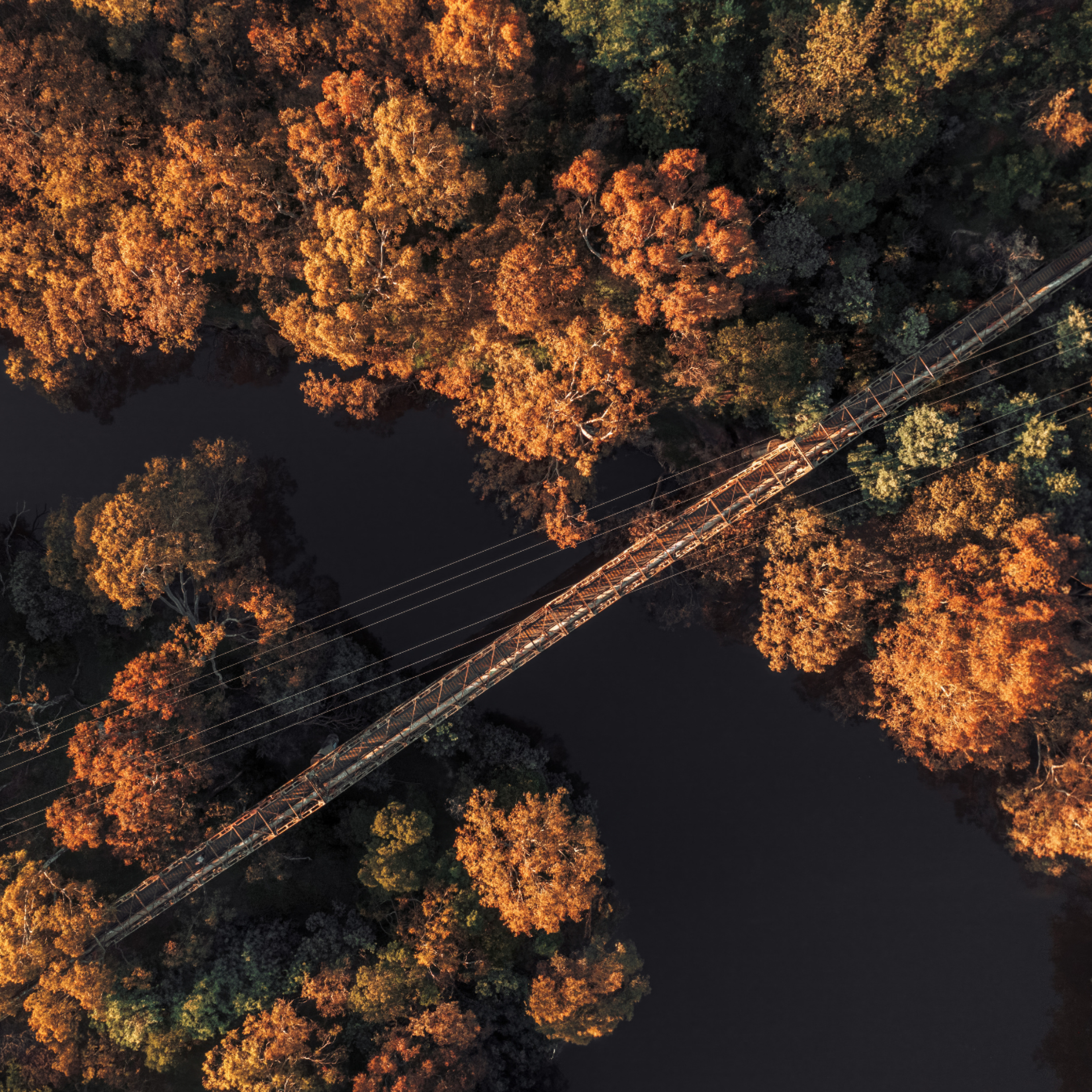 Article Photography by James Henry.